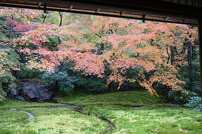京都の秋84