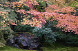 京都の秋85