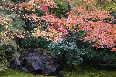 京都の秋85