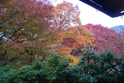 京都の秋88