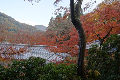 京都の秋89