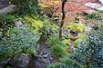 京都の秋90