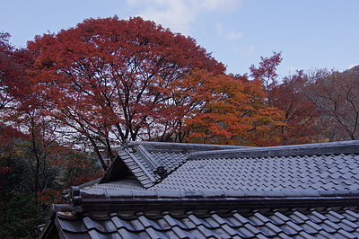 京都の秋91