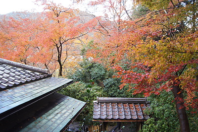 京都の秋92