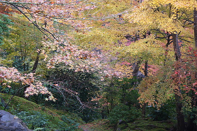 京都の秋93