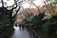京都の秋97