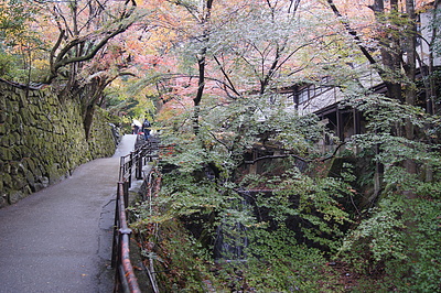 京都の秋101