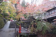 京都の秋102