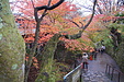 京都の秋103