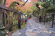 京都の秋104