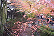 京都の秋105
