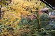 京都の秋107