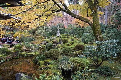 京都の秋109
