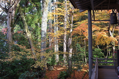京都の秋110