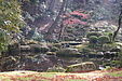 京都の秋111