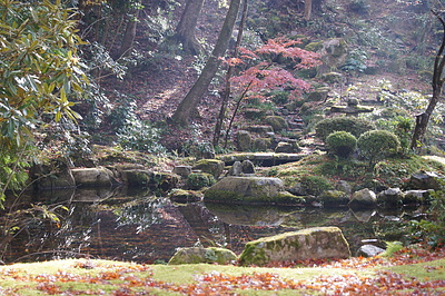 京都の秋111