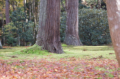 京都の秋112