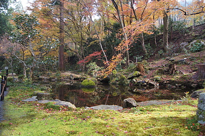 京都の秋114
