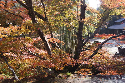 京都の秋117