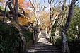 京都の秋119