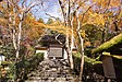 京都の秋120