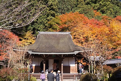 京都の秋121