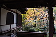 京都の秋124