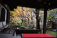 京都の秋125