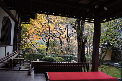 京都の秋125
