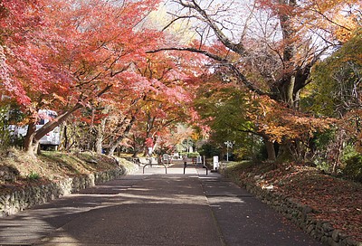 京都の秋126