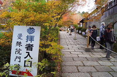 京都の秋127