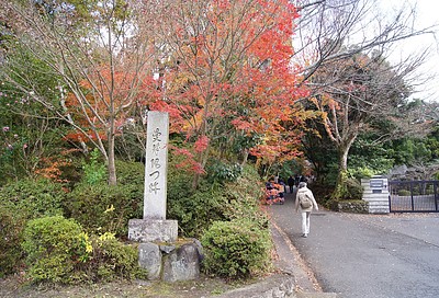 京都の秋129