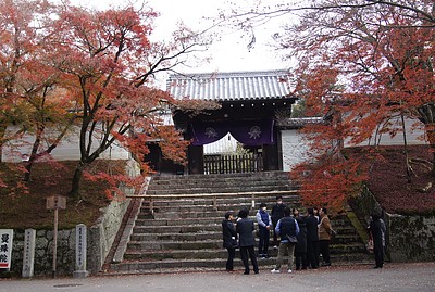 京都の秋130