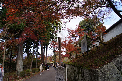 京都の秋131