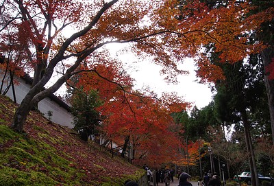 京都の秋132