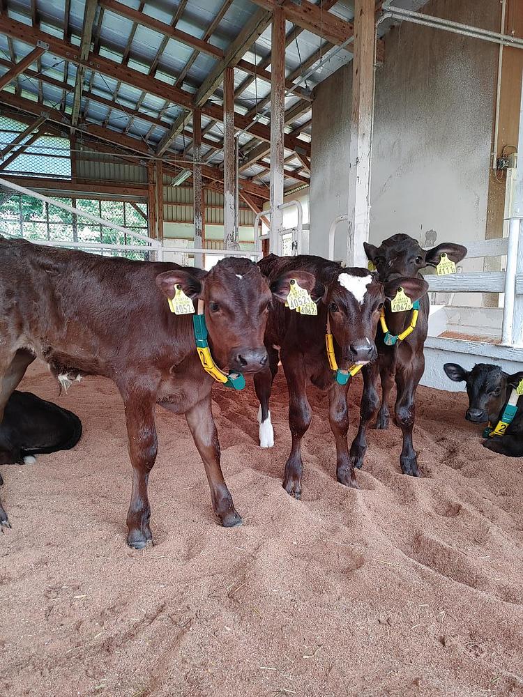 飯野美喜男 いいのみきお