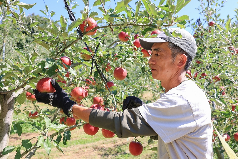 大櫻裕之 おおざくらひろゆき