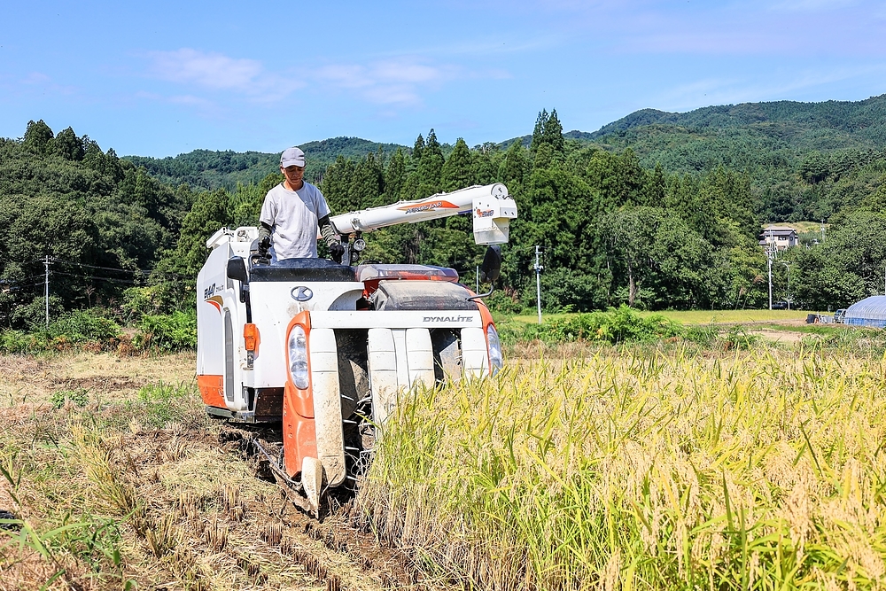 大櫻裕之 おおざくらひろゆき