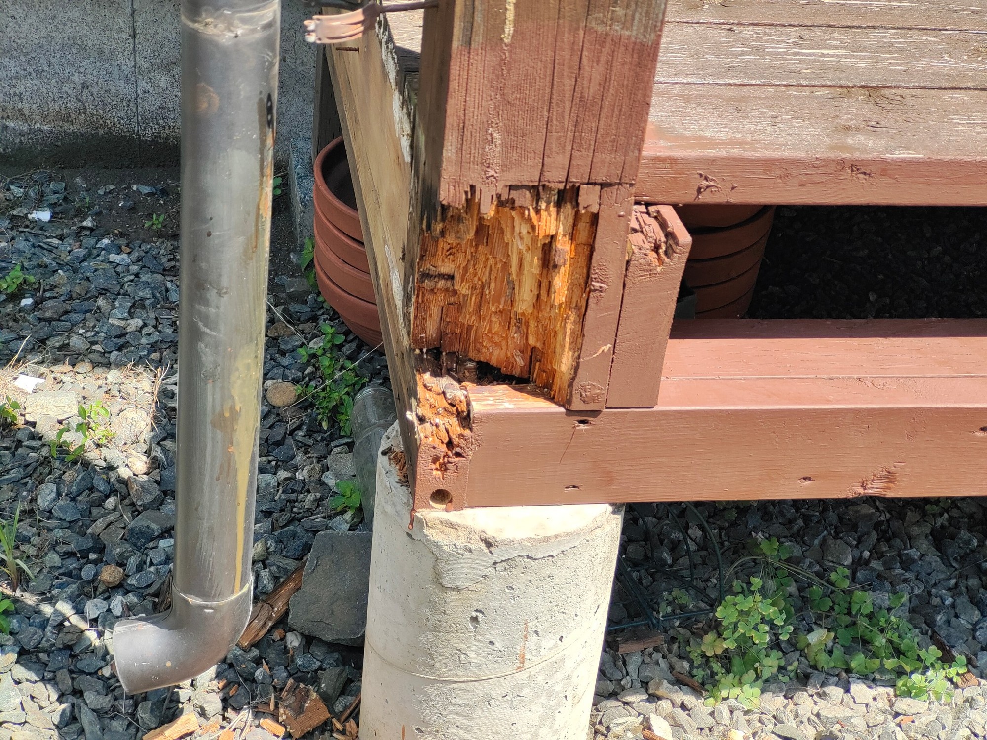 柱の根元も腐ってました。