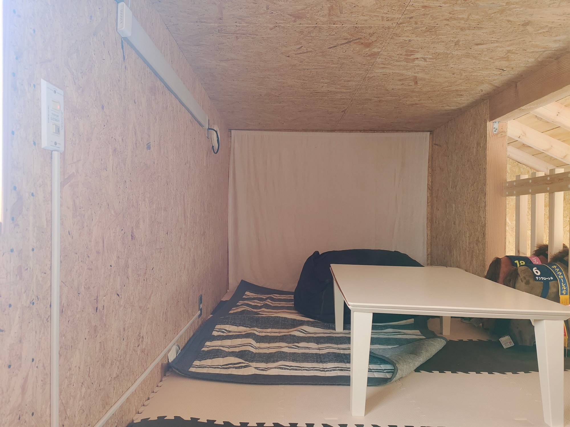 ロフトでは動画をプロジェクターで写しているそう。