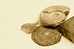 福岡で国内最古のサイ化石発見、所有権は誰に？
