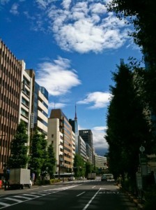 新駅開業による不動産価値上昇の期待値