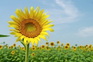 「脱ゆとり」！全国の小中学校に広がる夏休み短縮の背景