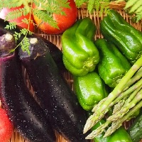 夏の野菜や果物にはどんな栄養があるの？暑さに負けない食事のとり方