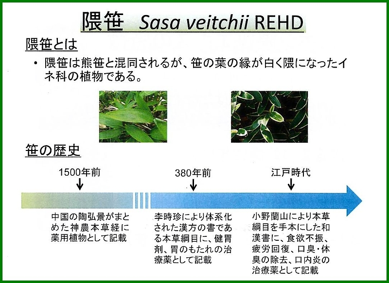 隈笹精　アクアポリン　星製薬　星薬科大学