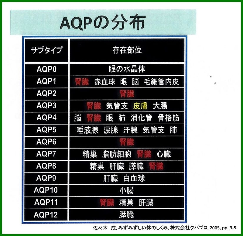 隈笹精　アクアポリン　星製薬　星薬科大学