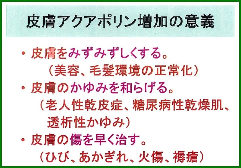 隈笹精　アクアポリン　星製薬　星薬科大学