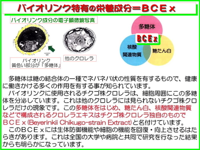 《バイオリンク経済学》