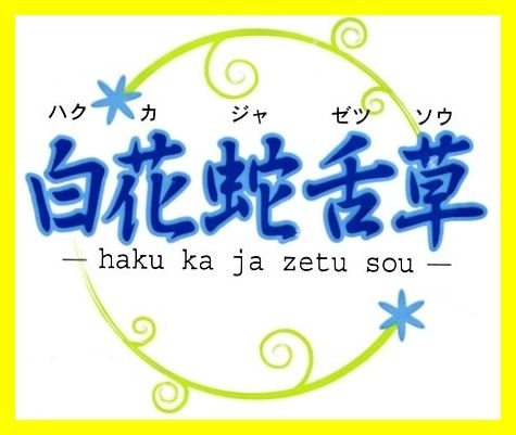 鼻淵丸　鼻炎　鼻づまり