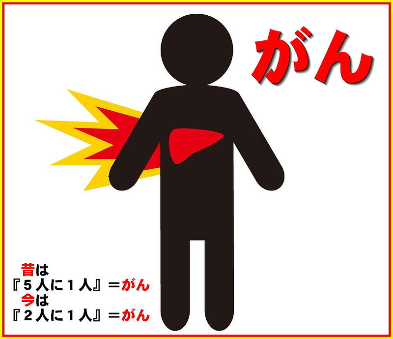 紅豆杉　タキサス　白豆杉